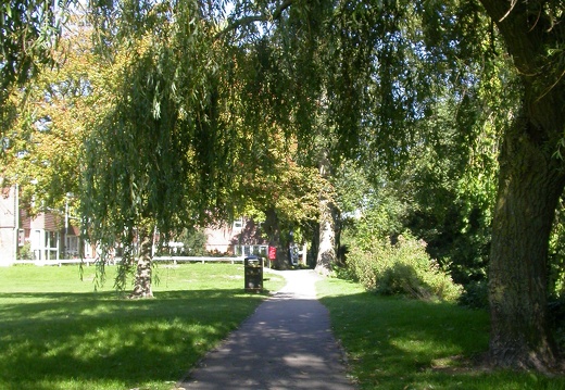 A park in Salisbury