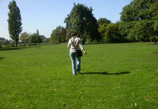 A park in Salisbury