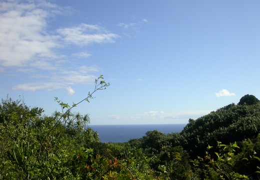 Views on Road to Hana
