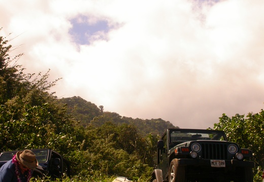 Maui Jeep in its natural habitat
