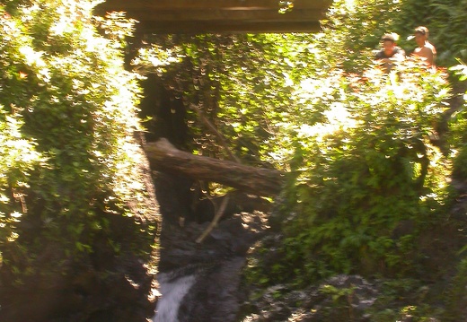 Waterfall on Road to Hana