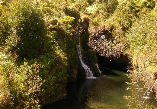 Waterfall on the Road to Hana