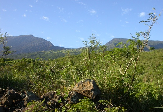 Views of East Maui