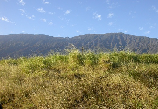 Views of East Maui