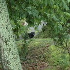 DSC 0313