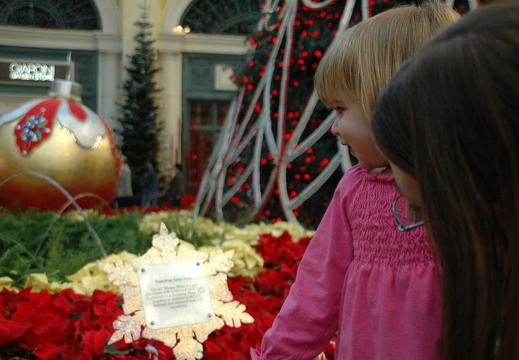 dsc_1555 (607 visits) dsc_1555