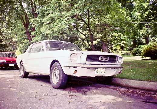 1966 Mustang circa 1998