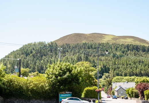 20150618-DSC 6485